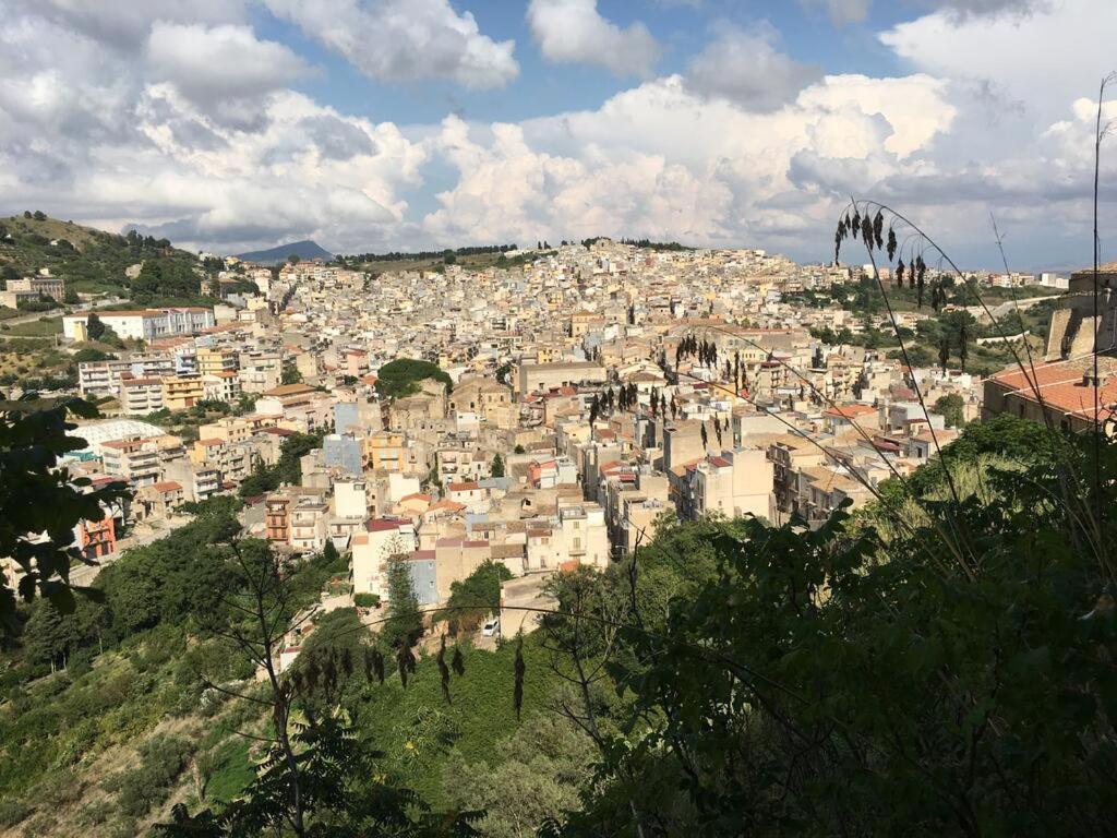 La Domus Di Segesta Lejlighed Calatafimi Eksteriør billede